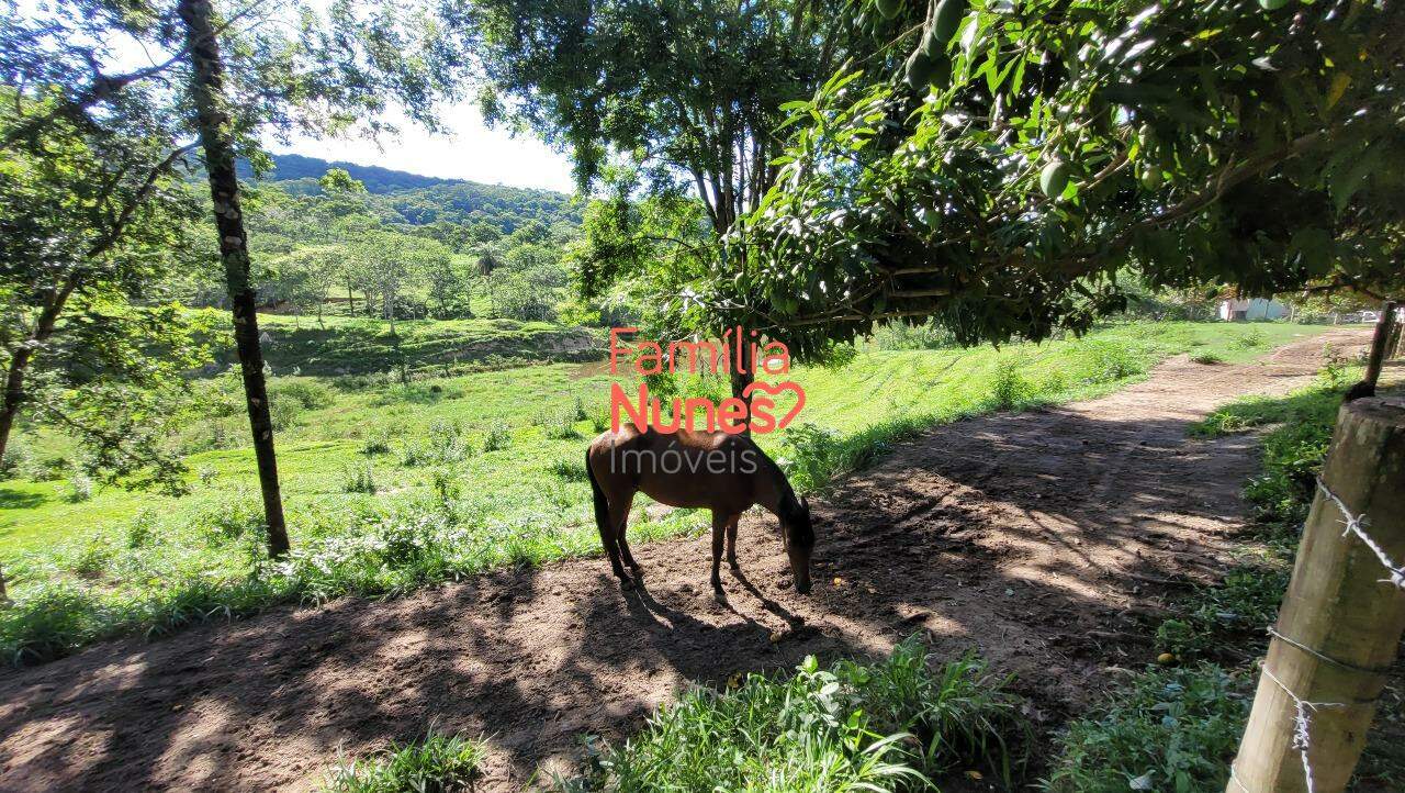 fazenda à venda no Caracóis de Baixo: fazenda à venda, Caracóis de Baixo - Esmeraldas/MG