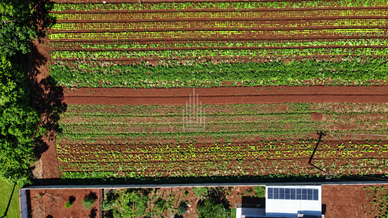 Chácara à venda no Loteamento Mata Verde: 