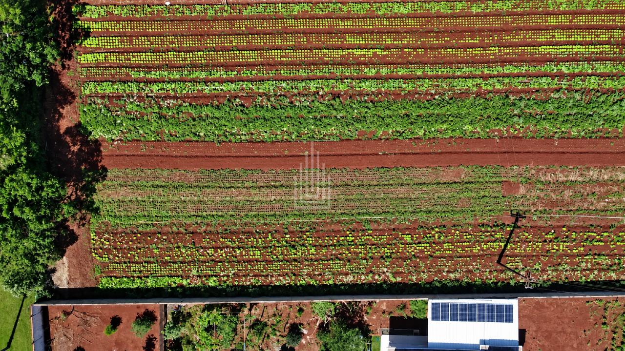 Chácara à venda no Mata Verde: 