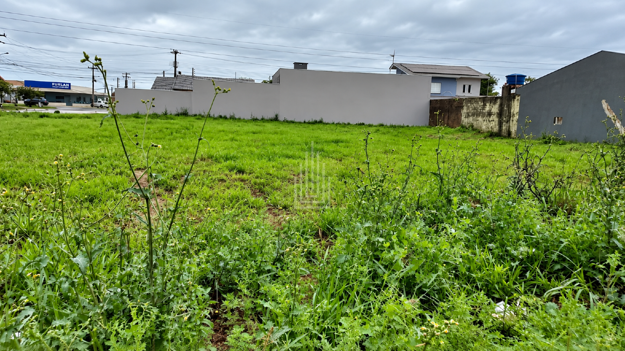 Terreno à venda no Porto Belo: 