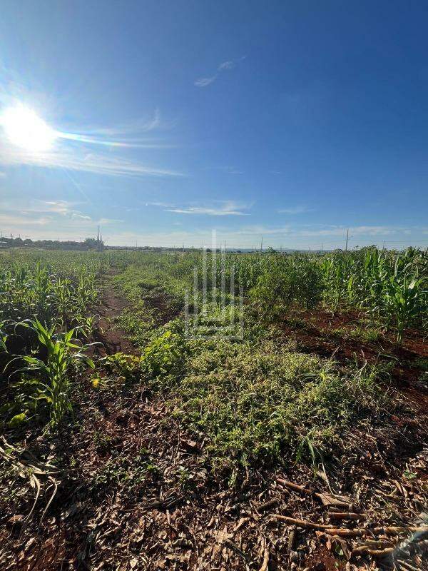 Terreno à venda no Caramuru: 