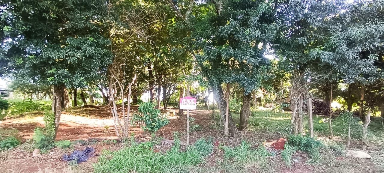 Área à venda no Remanso: 