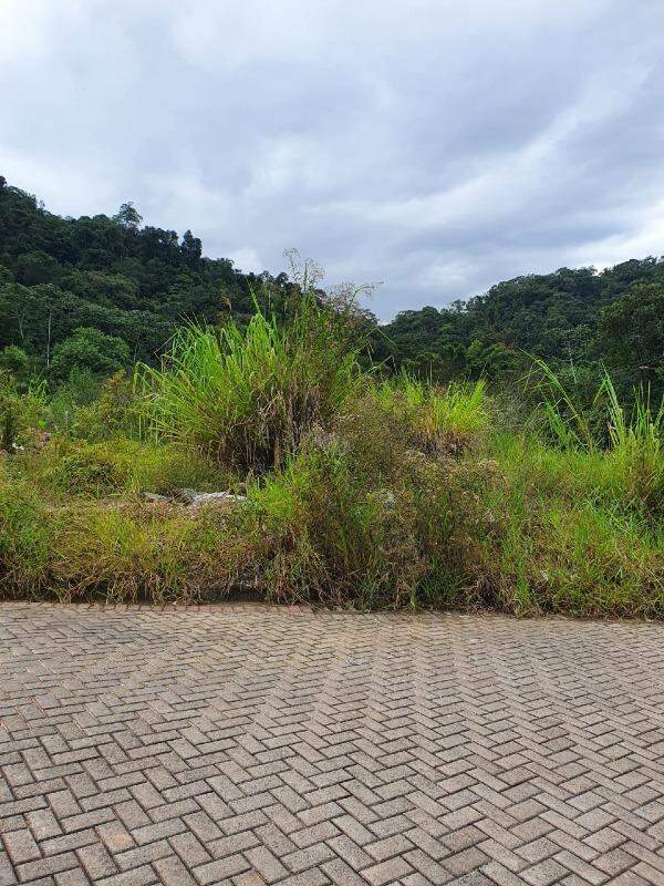 Lote/Terreno de 529m² no bairro Águas Claras, em Brusque | Eu Corretor