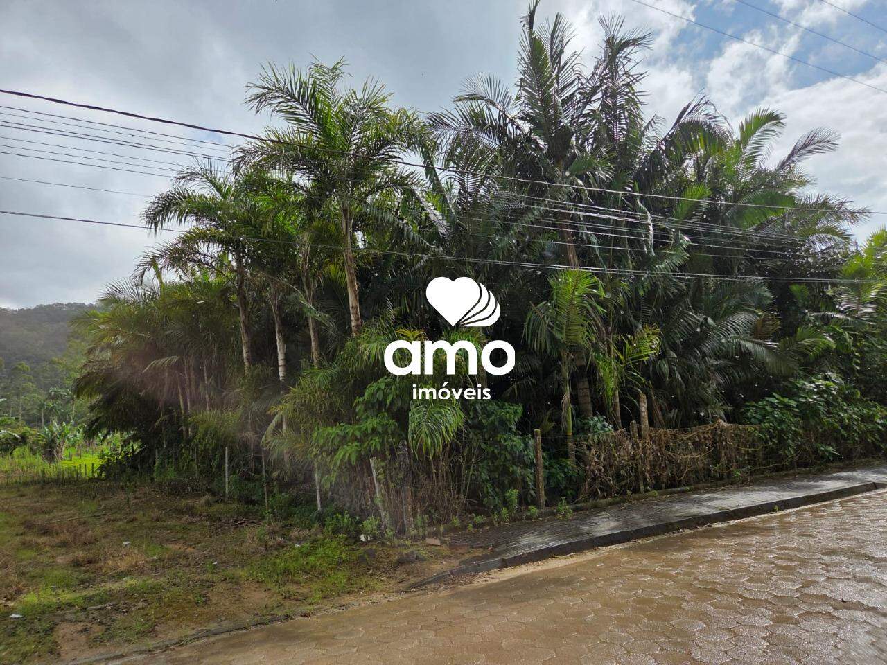 Lote/Terreno de 18000m² no bairro Planície Alta, em Guabiruba | Eu Corretor