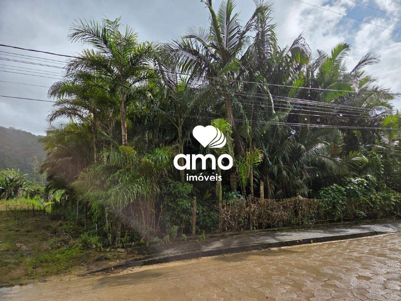 Lote/Terreno de 18000m² no bairro Planície Alta, em Guabiruba | Eu Corretor