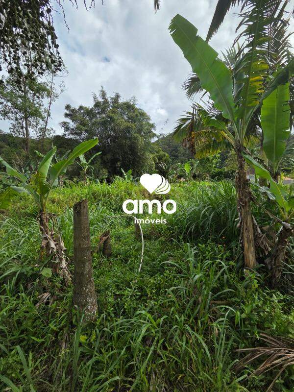 Lote/Terreno de 18000m² no bairro Planície Alta, em Guabiruba | Eu Corretor