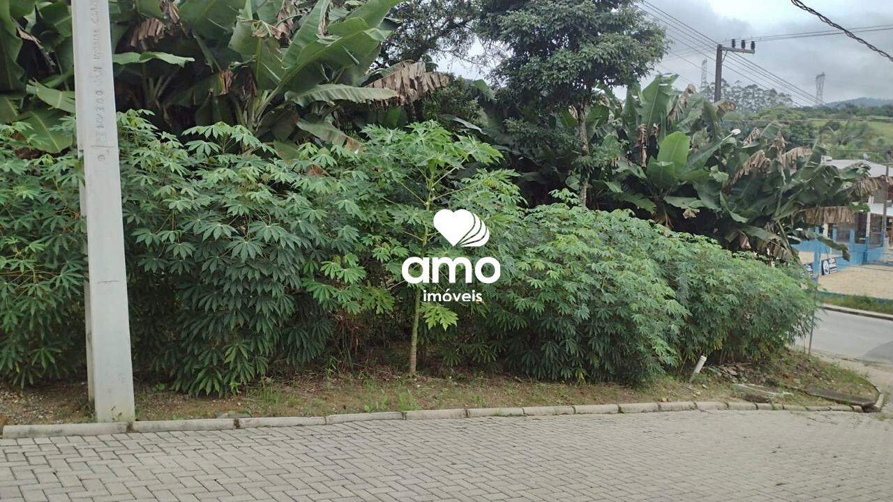 Lote/Terreno de no bairro Tomaz Coelho, em Brusque | Eu Corretor