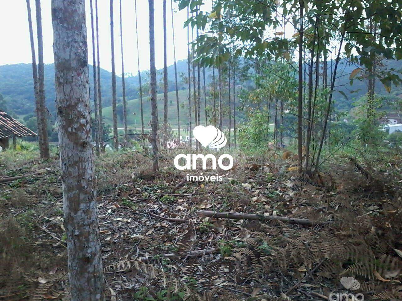 Lote/Terreno de 4180m² no bairro Limoeiro, em Itajaí | Eu Corretor
