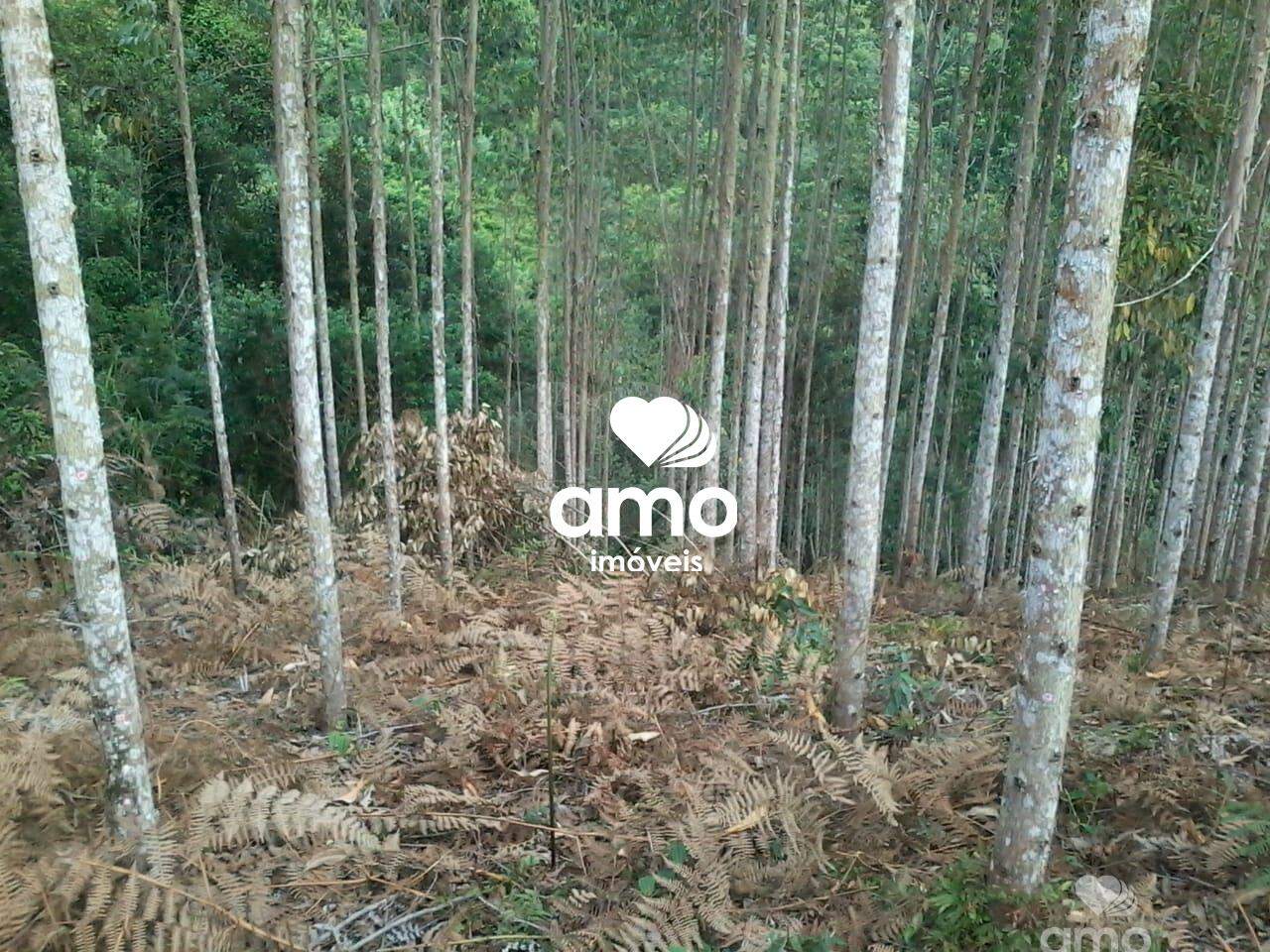 Lote/Terreno de 4180m² no bairro Limoeiro, em Itajaí | Eu Corretor