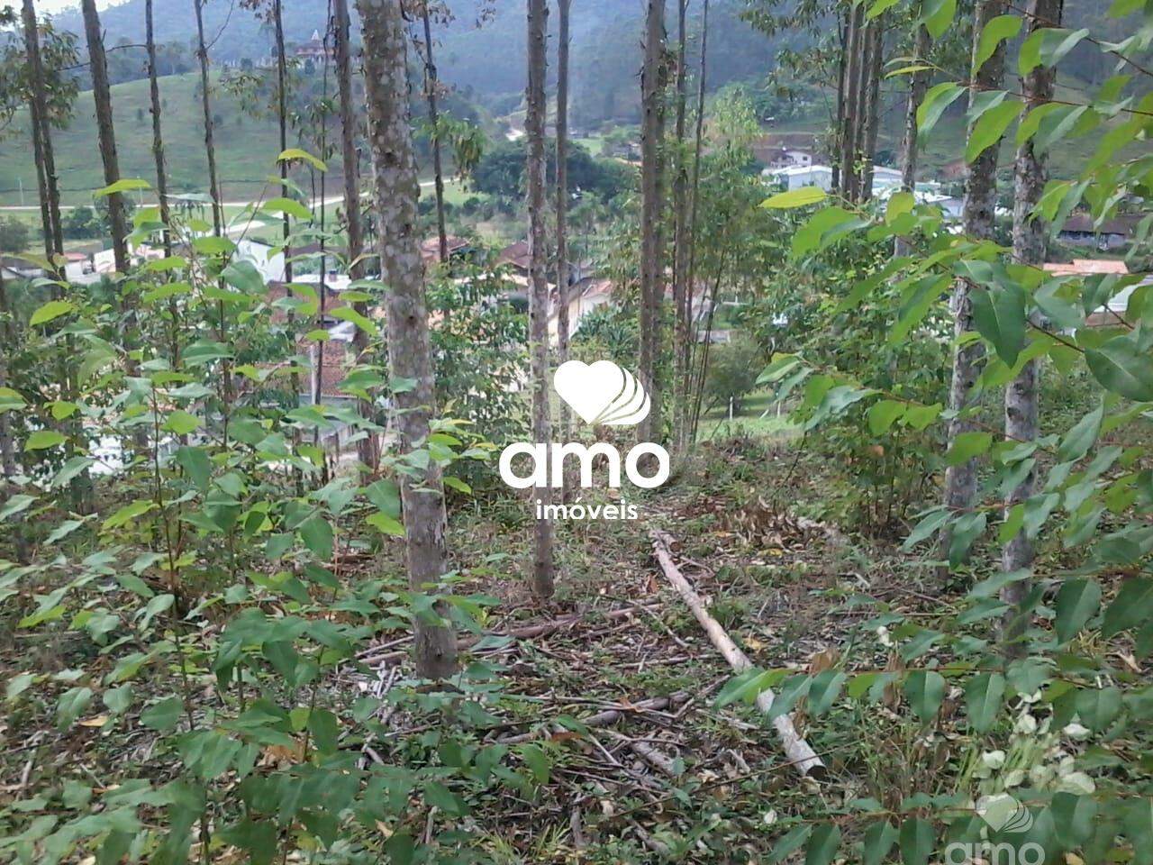 Lote/Terreno de 4180m² no bairro Limoeiro, em Itajaí | Eu Corretor