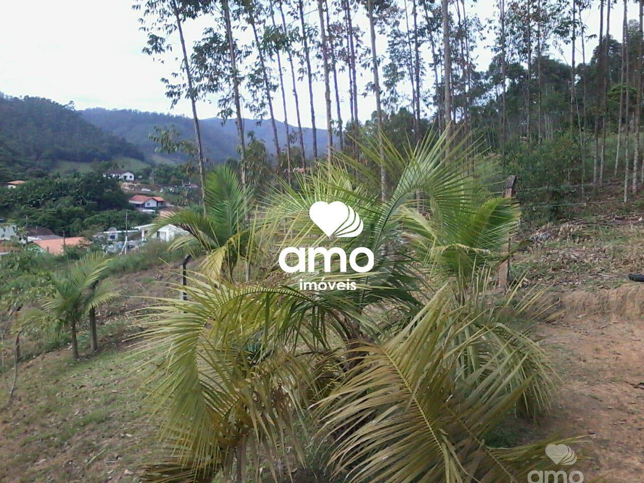 Lote/Terreno de 4180m² no bairro Limoeiro, em Itajaí | Eu Corretor