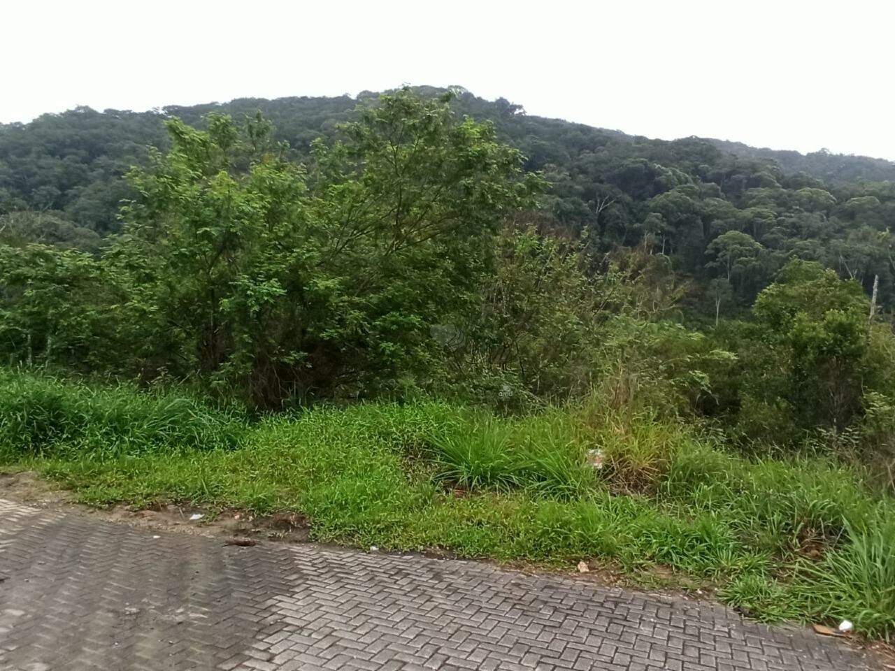 Lote/Terreno de 751m² no bairro Limeira Baixa, em Brusque | Eu Corretor