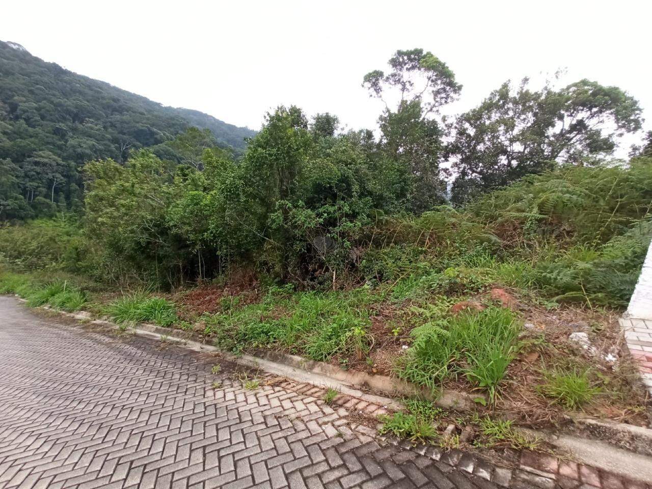 Lote/Terreno de 479m² no bairro Limeira Baixa, em Brusque | Eu Corretor