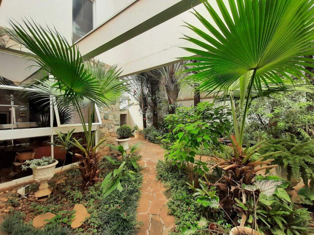 Casa para aluguel no Centro: 