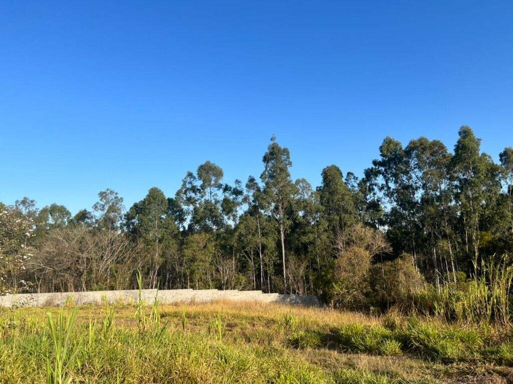 Terreno à venda no Ferraz: Terreno