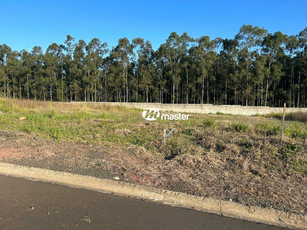 Terreno à venda no Centro: 