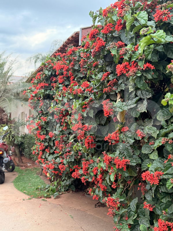 Casa à venda no Piscina: 