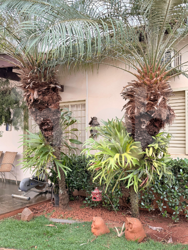 Casa à venda no Piscina: 