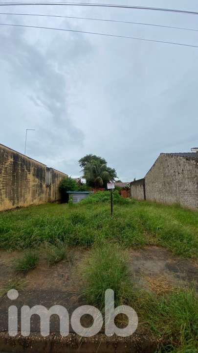 Terreno à venda no Piscina: 