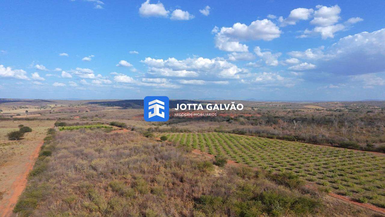 Fazenda à venda no Centro: 