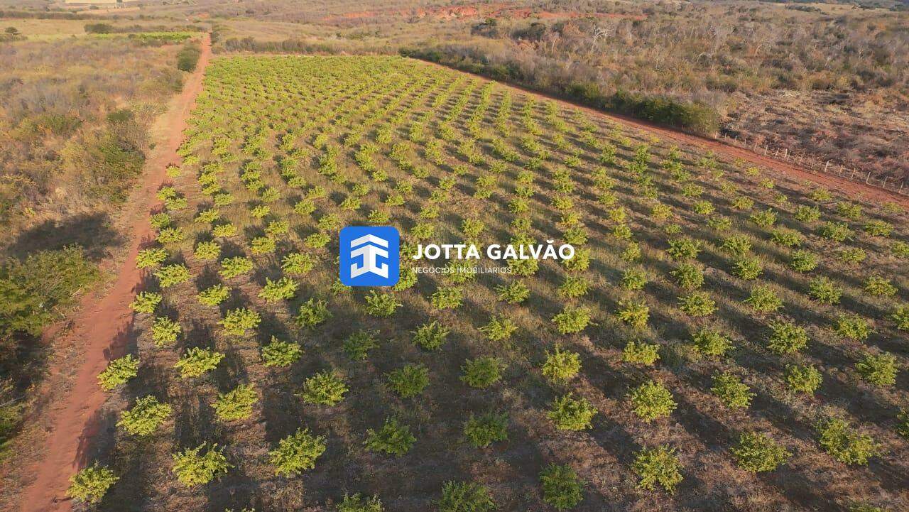 Fazenda à venda no Centro: 