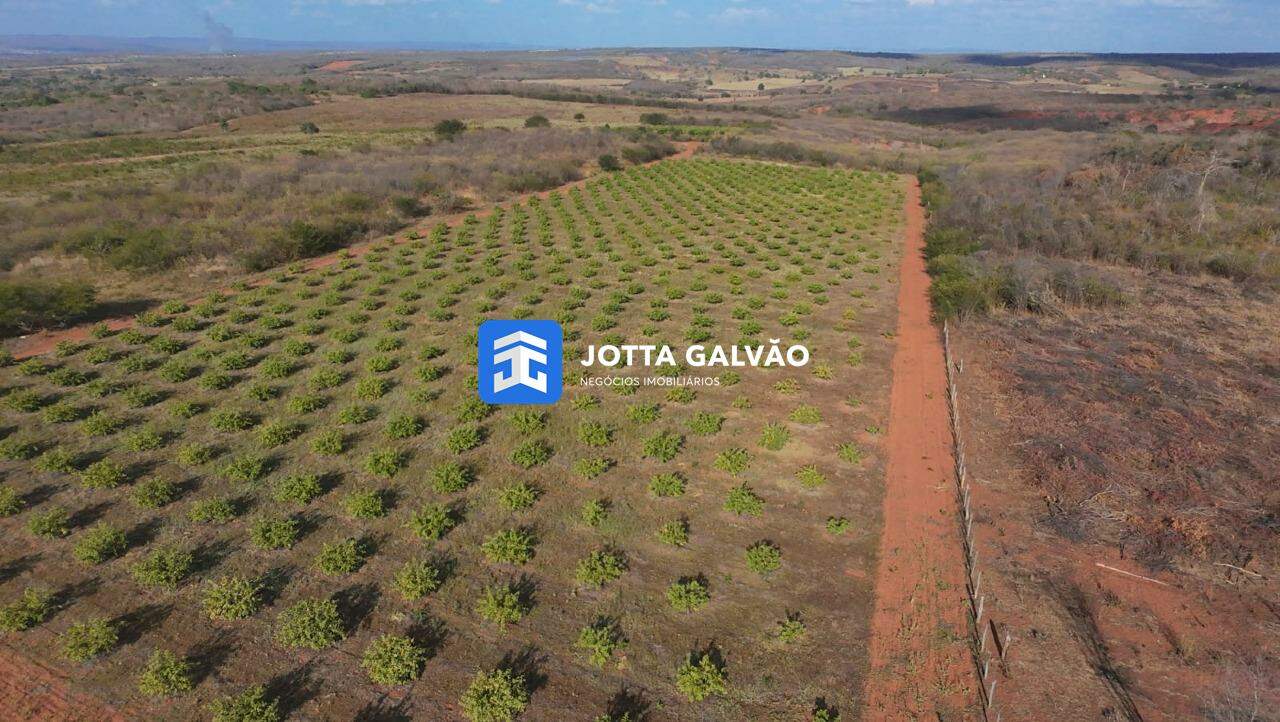 Fazenda à venda no Centro: 