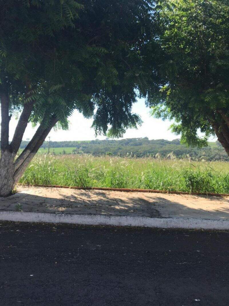 Terreno à venda no Rio da Onça: 