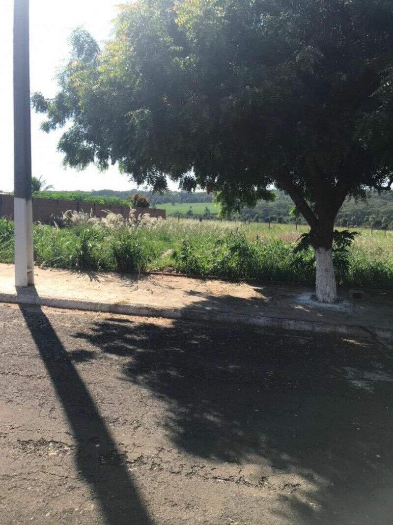 Terreno à venda no Rio da Onça: 