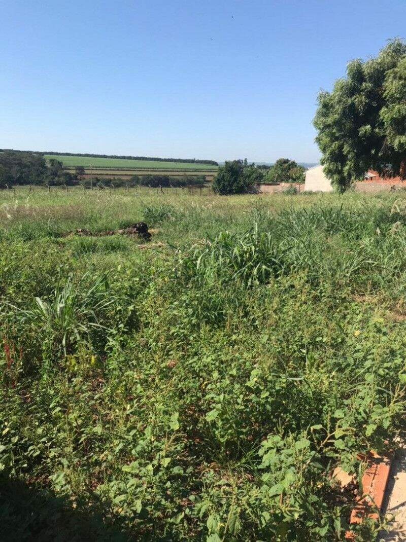 Terreno à venda no Rio da Onça: 