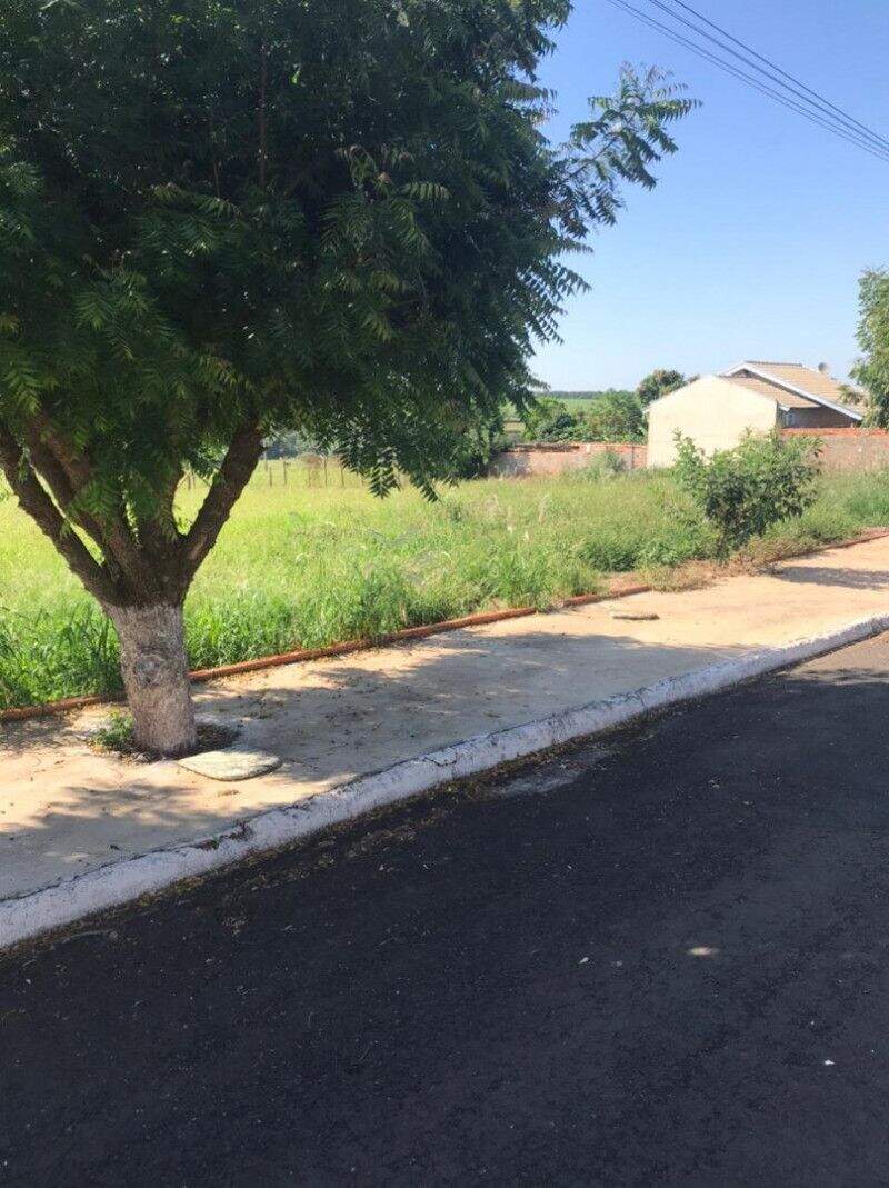 Terreno à venda no Rio da Onça: 