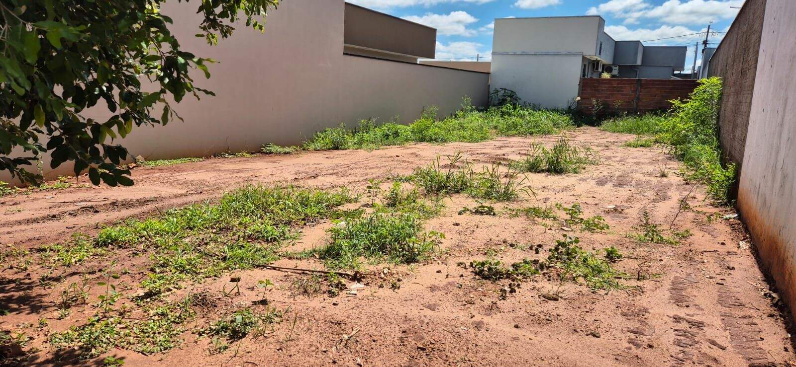 Terreno à venda no Jardim do Bosque: 