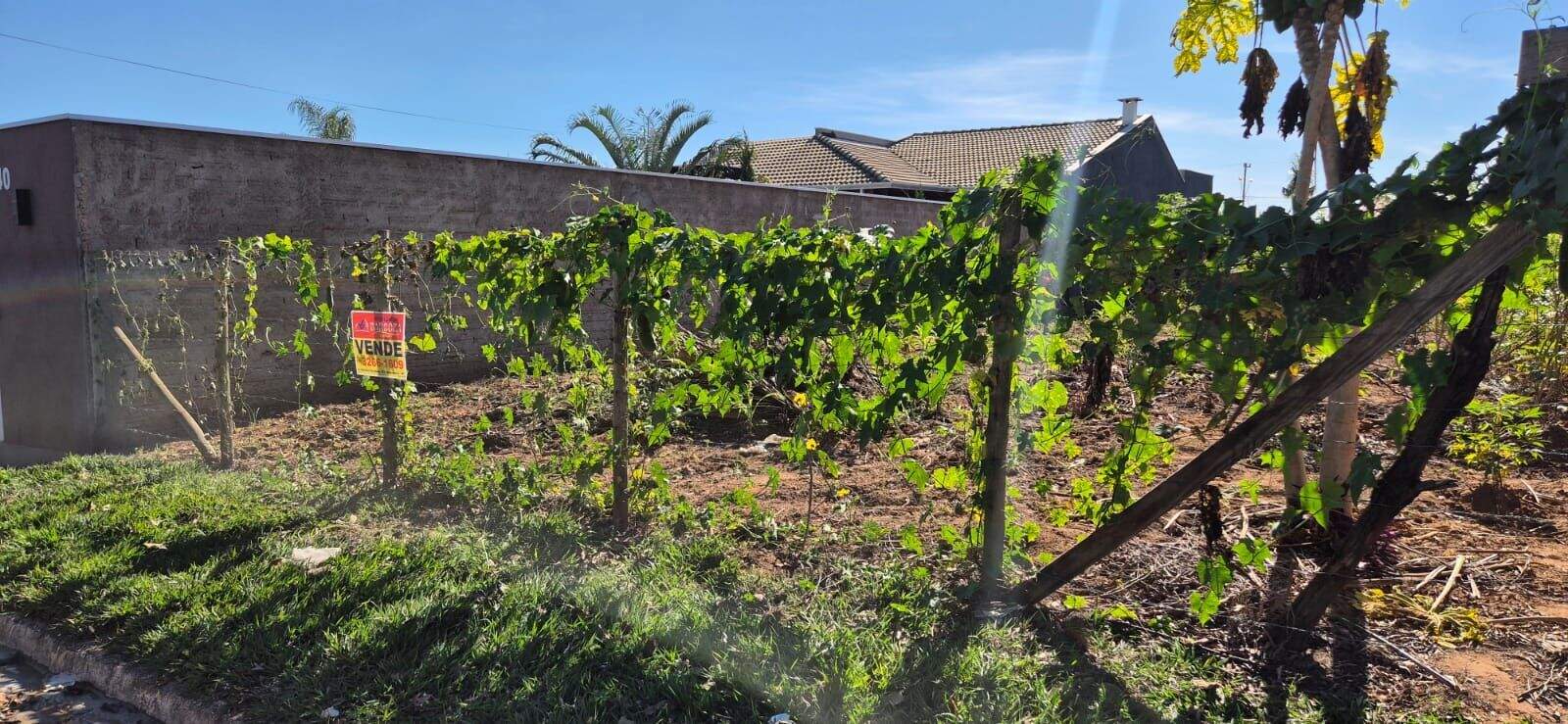 Terreno à venda no Village Tietê: 