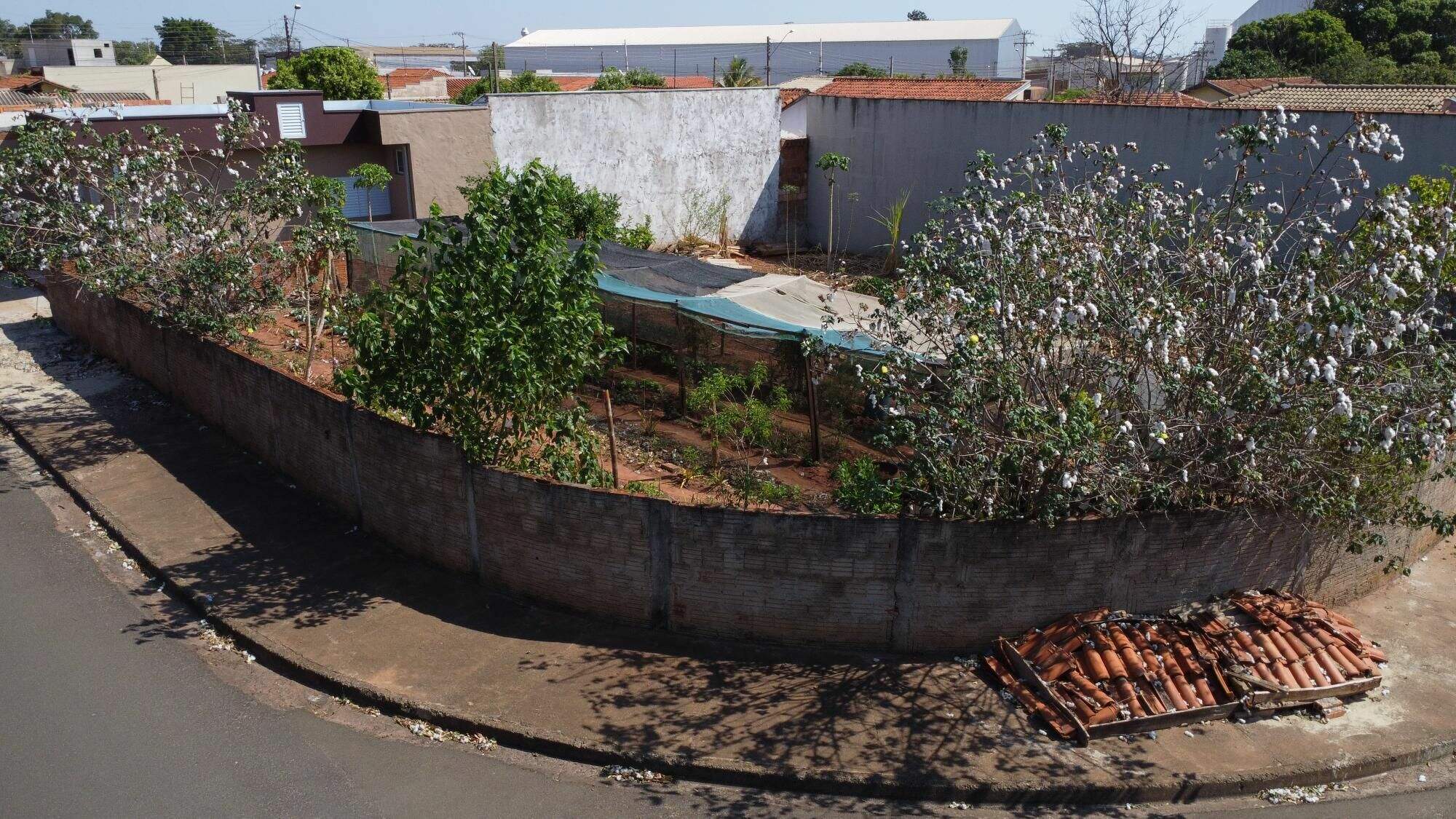 Terreno à venda no Jardim Alto do Ouro Verde: 