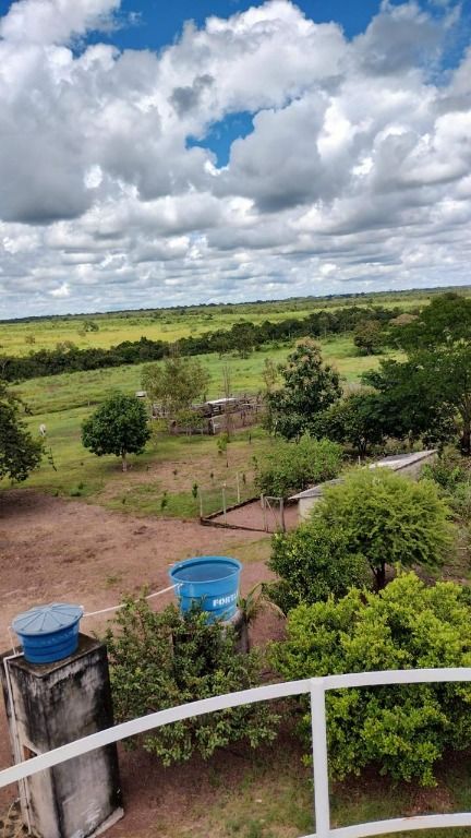 Fazenda à venda no Centro: 