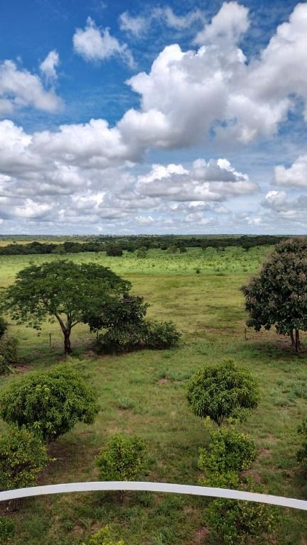 Fazenda à venda no Centro: 