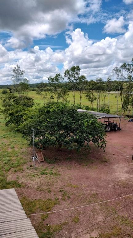 Fazenda à venda no Centro: 