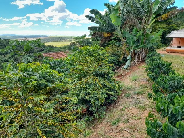 Chácara à venda no Zona Rural: 