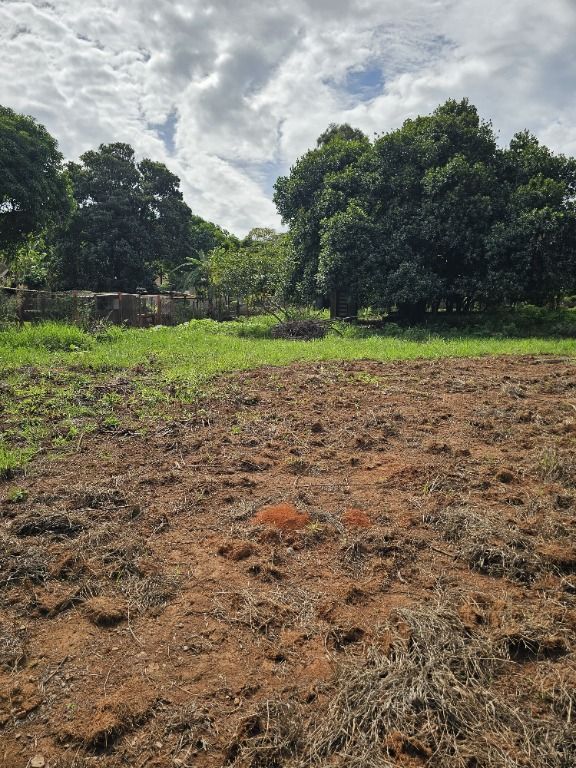 Terreno à venda no Bonfim: 