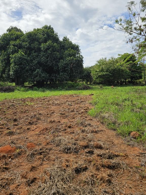 Terreno à venda no Bonfim: 