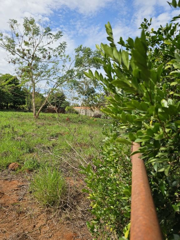 Terreno à venda no Bonfim: 