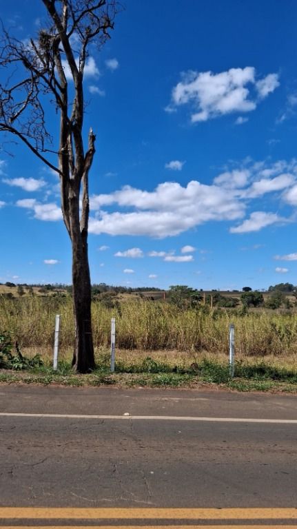 Área à venda no Vila Hollândia: 
