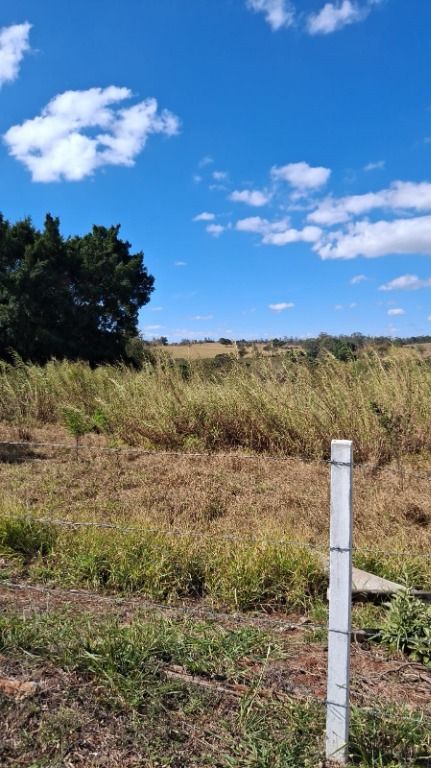 Área à venda no Vila Hollândia: 