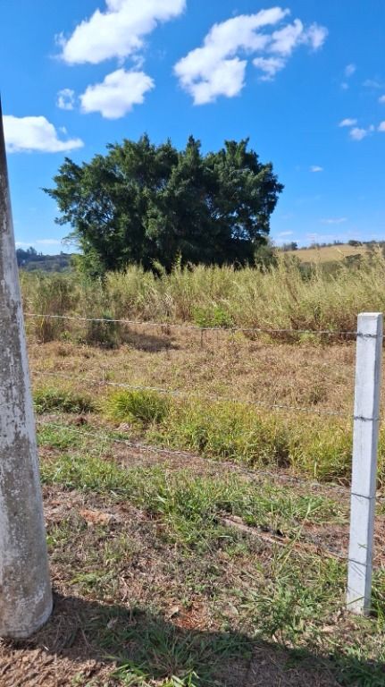 Área à venda no Vila Hollândia: 