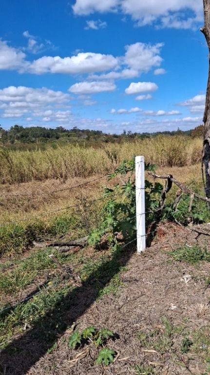Área à venda no Vila Hollândia: 