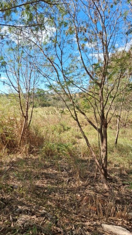 Área à venda no Vila Hollândia: 
