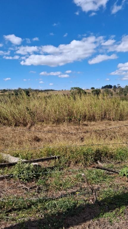 Área à venda no Vila Hollândia: 