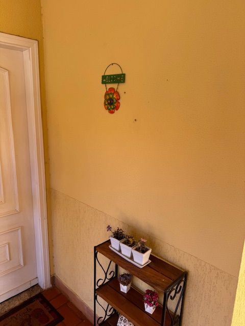 Casa para aluguel no Betel: 