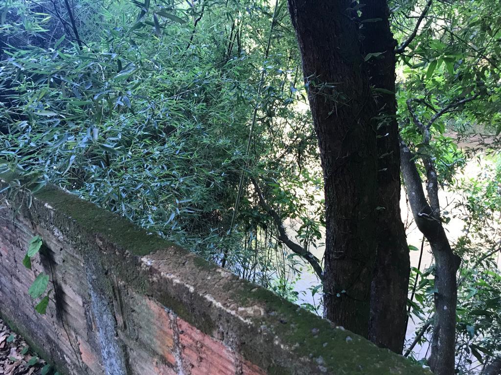 Chácara à venda no Cascata: 