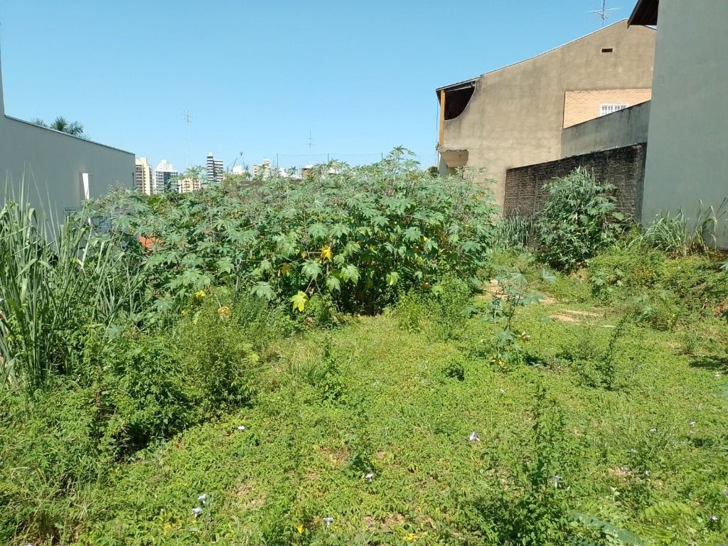 Terreno à venda no Jardim Paraíso: 