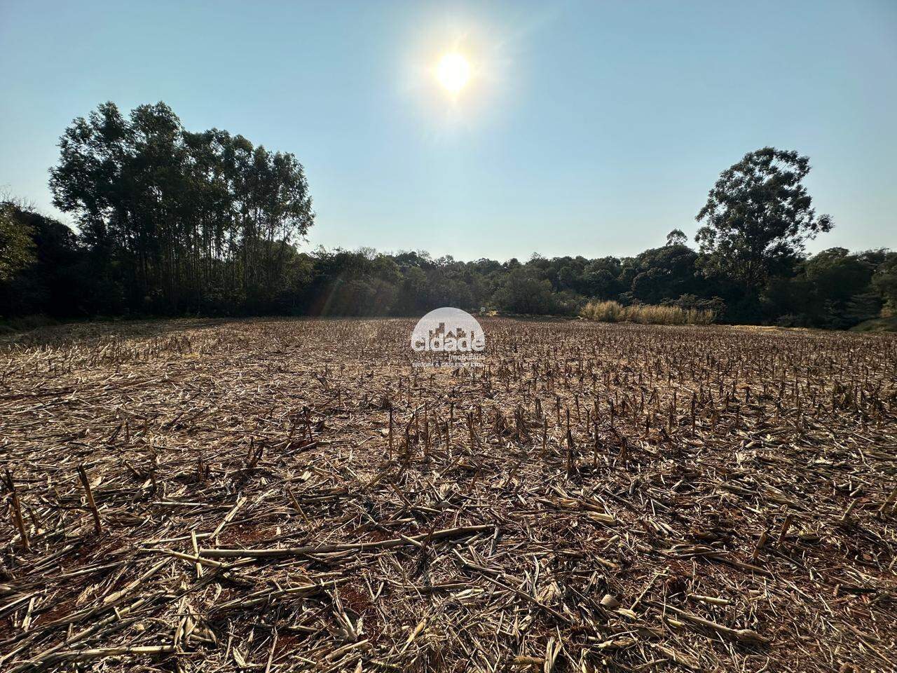 Chácara à venda, Área Rural de Cascavel – Cascavel/Pr